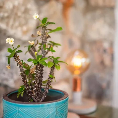 Apartment Modern And Cozy Designer In Relaxing Environment *
