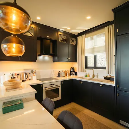 Apartment Modern And Cozy Designer In Relaxing Environment