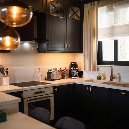 Modern And Cozy Designer In Relaxing Environment