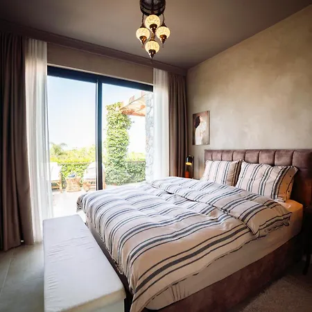 Modern And Cozy Designer In Relaxing Environment Apartment