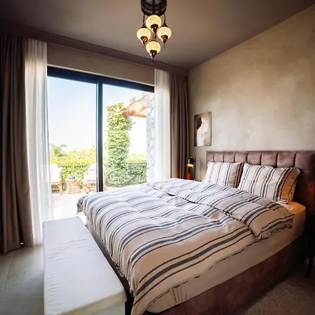 Apartment Modern And Cozy Designer In Relaxing Environment