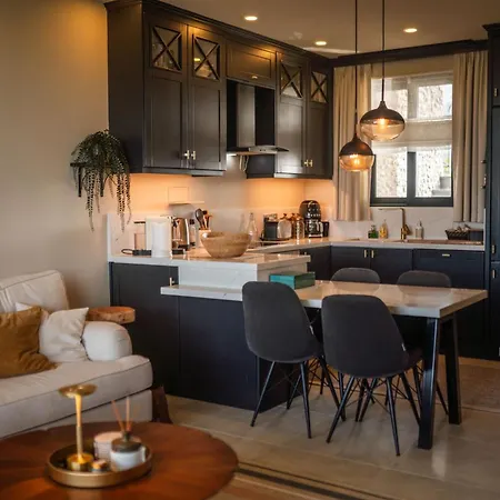 Apartment Modern And Cozy Designer In Relaxing Environment