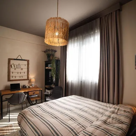 Modern And Cozy Designer In Relaxing Environment