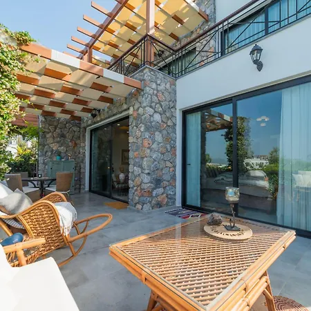 Modern And Cozy Designer In Relaxing Environment *