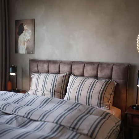 Modern And Cozy Designer In Relaxing Environment