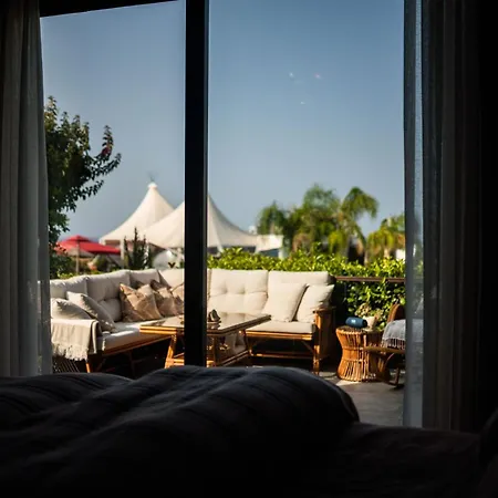 Modern And Cozy Designer In Relaxing Environment *