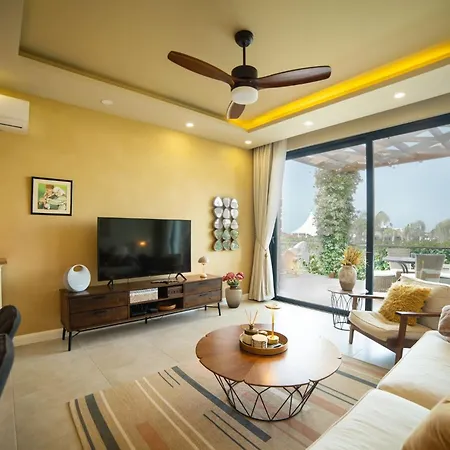 Modern And Cozy Designer In Relaxing Environment